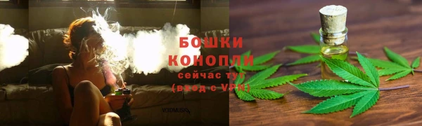 каннабис Богданович