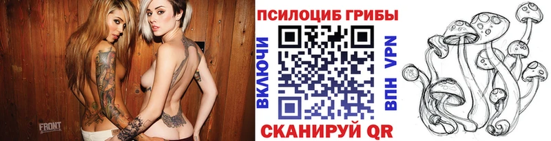 закладка Череповец Псилоцибиновые грибы ЛСД