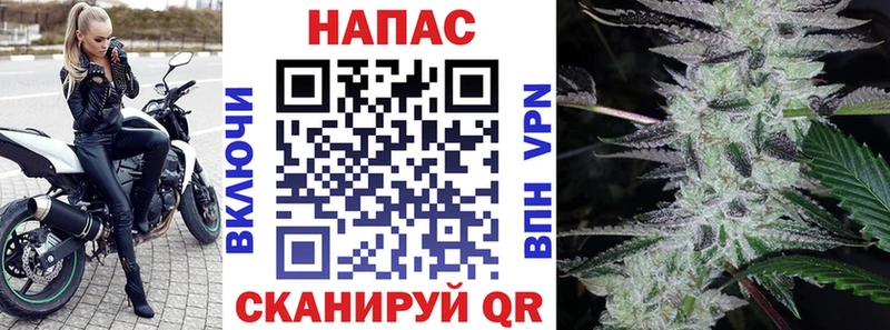 Бошки Шишки Amnesia  Череповец 
